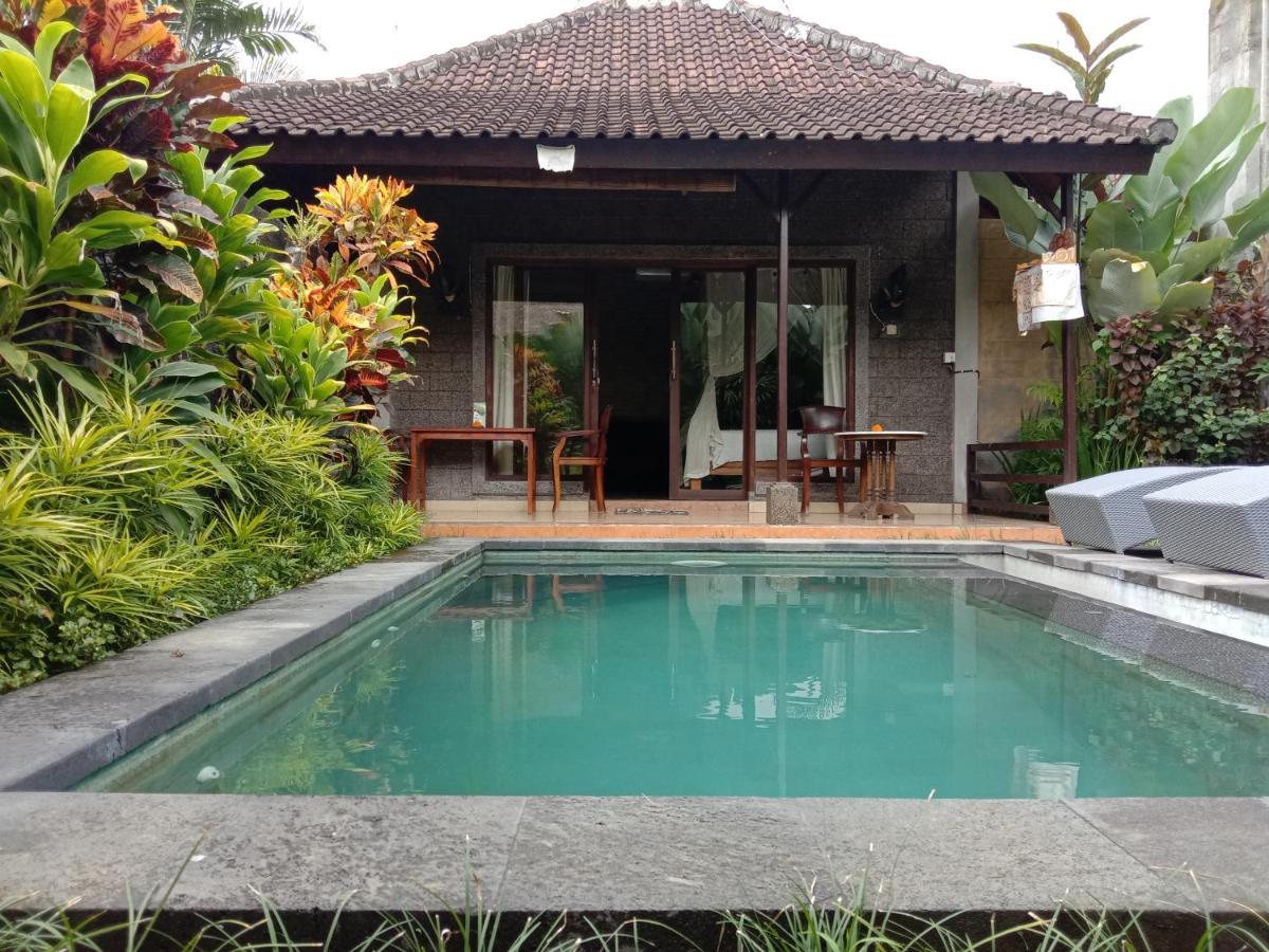 Dedik House Villa Ubud Buitenkant foto